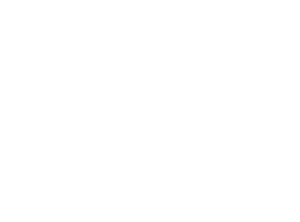 hayson